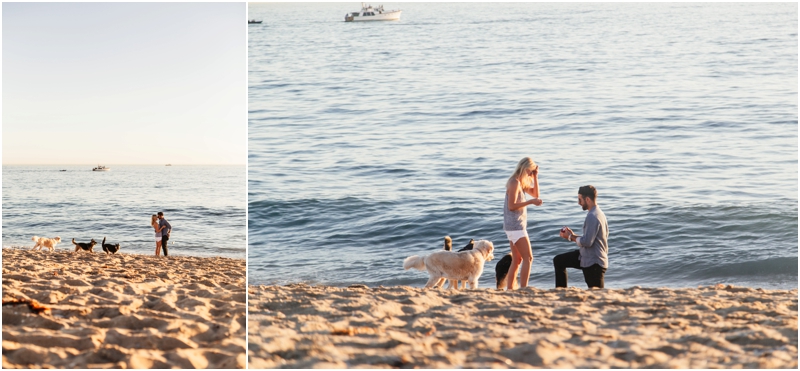  proposal on the beach in southern california 